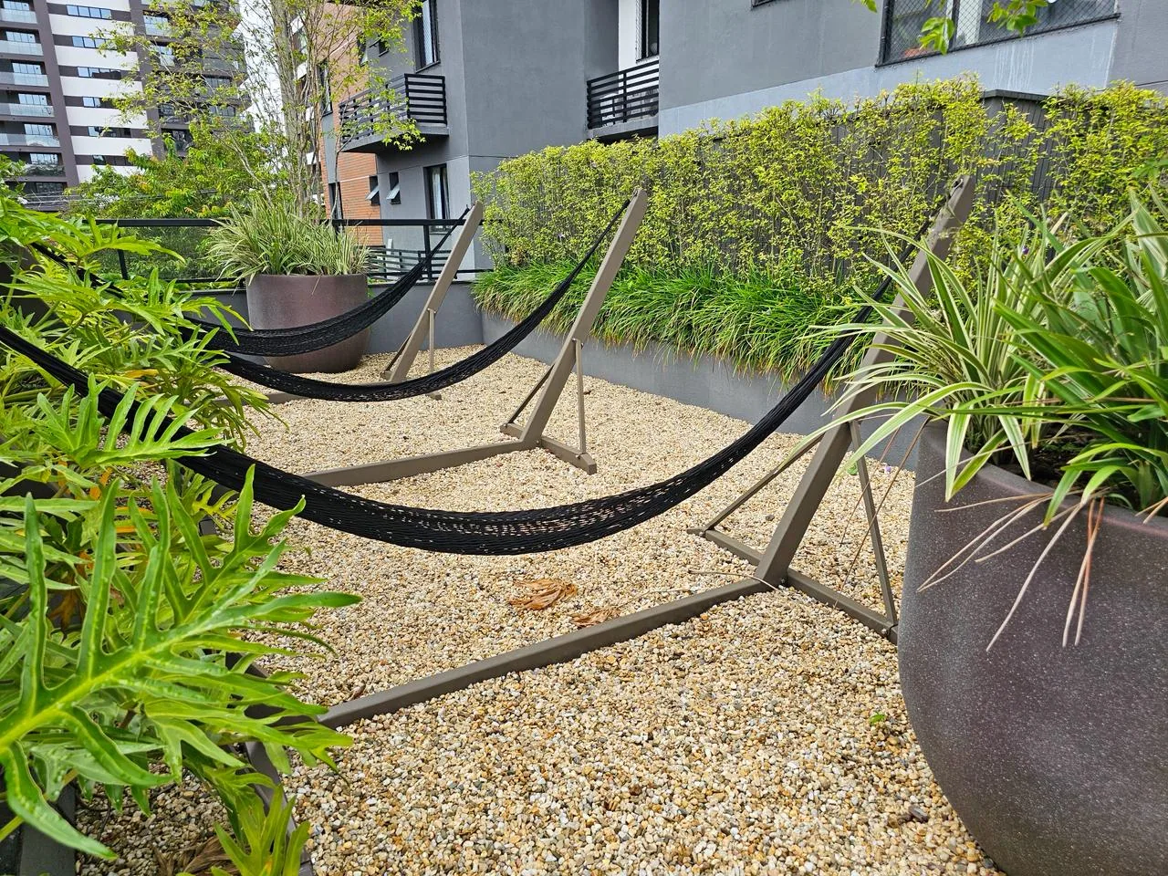 Morse 282 · jardim rede