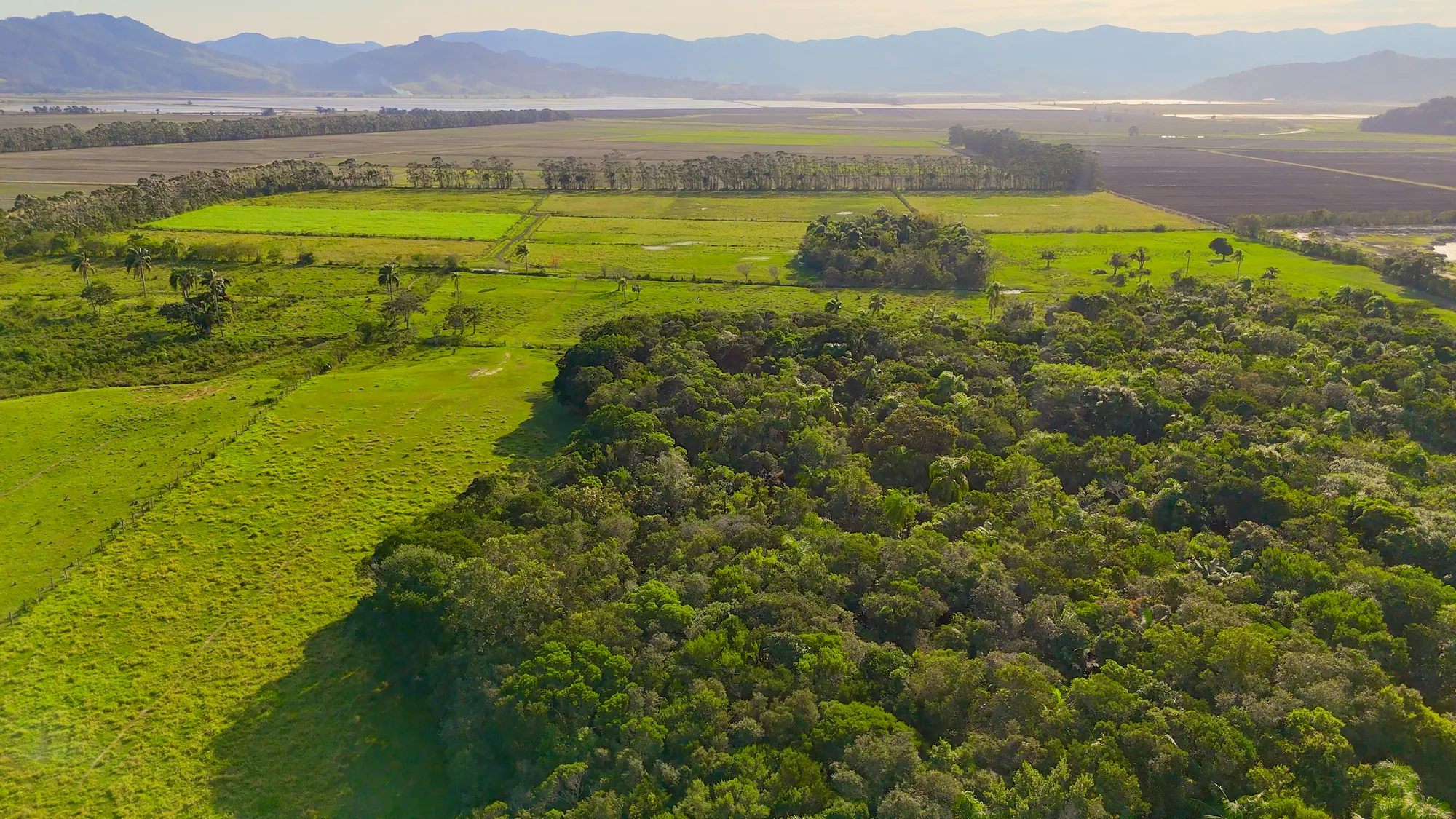 Área industrial e residencial · campo e mata